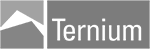 ternium-300-bn